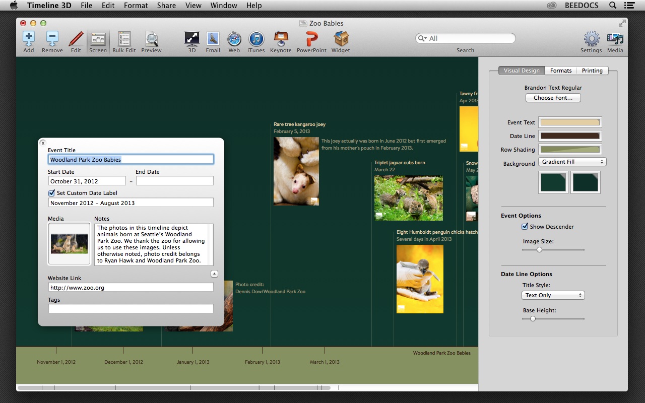 beedocs timeline 3d mac with serial torrent